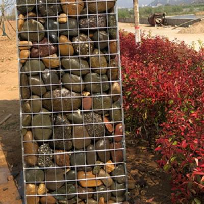 Welded Mesh Gabion